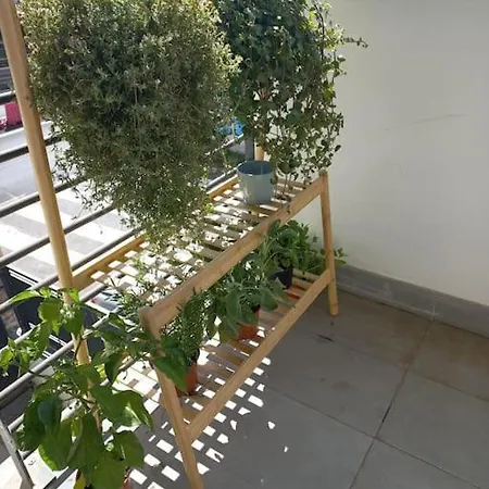 Daire Andrew's Center Roma